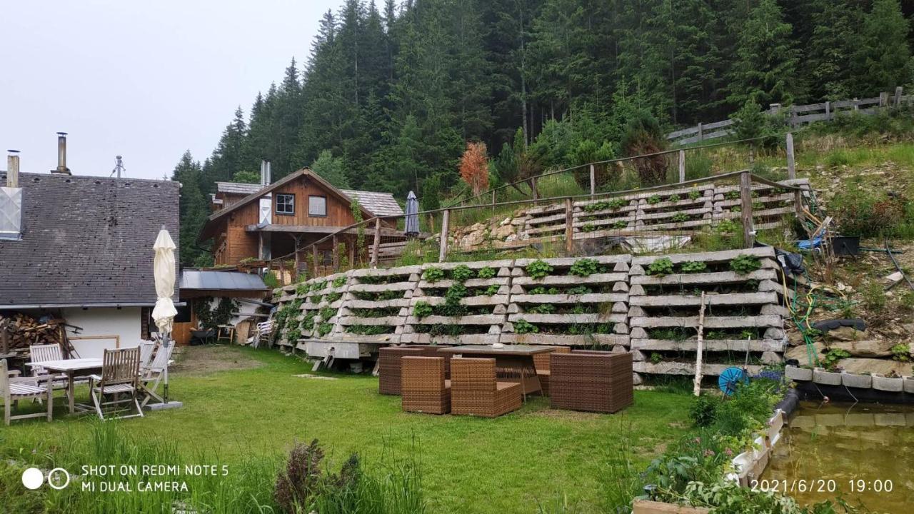 Chalet Steiermark Pusterwald Εξωτερικό φωτογραφία