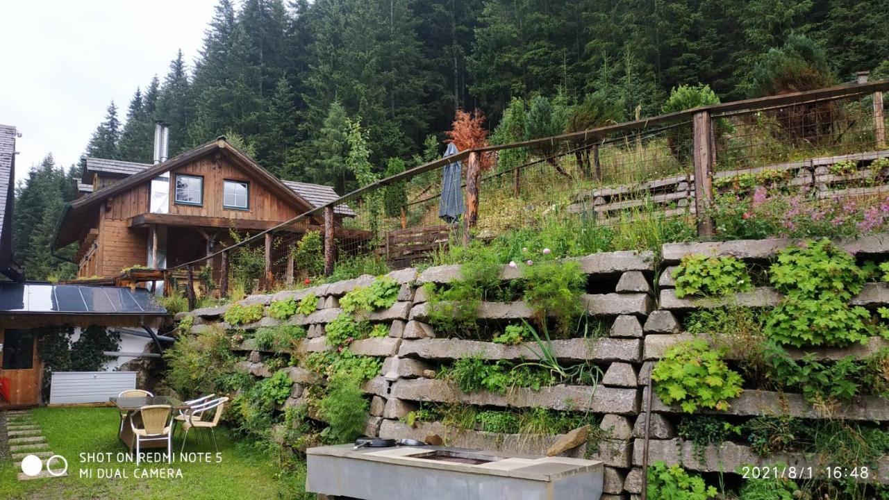 Chalet Steiermark Pusterwald Εξωτερικό φωτογραφία