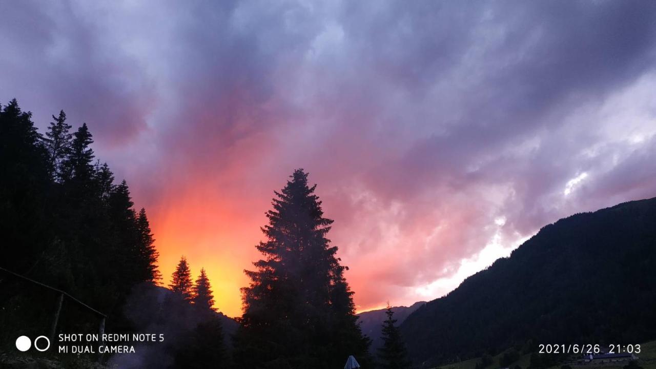 Chalet Steiermark Pusterwald Εξωτερικό φωτογραφία