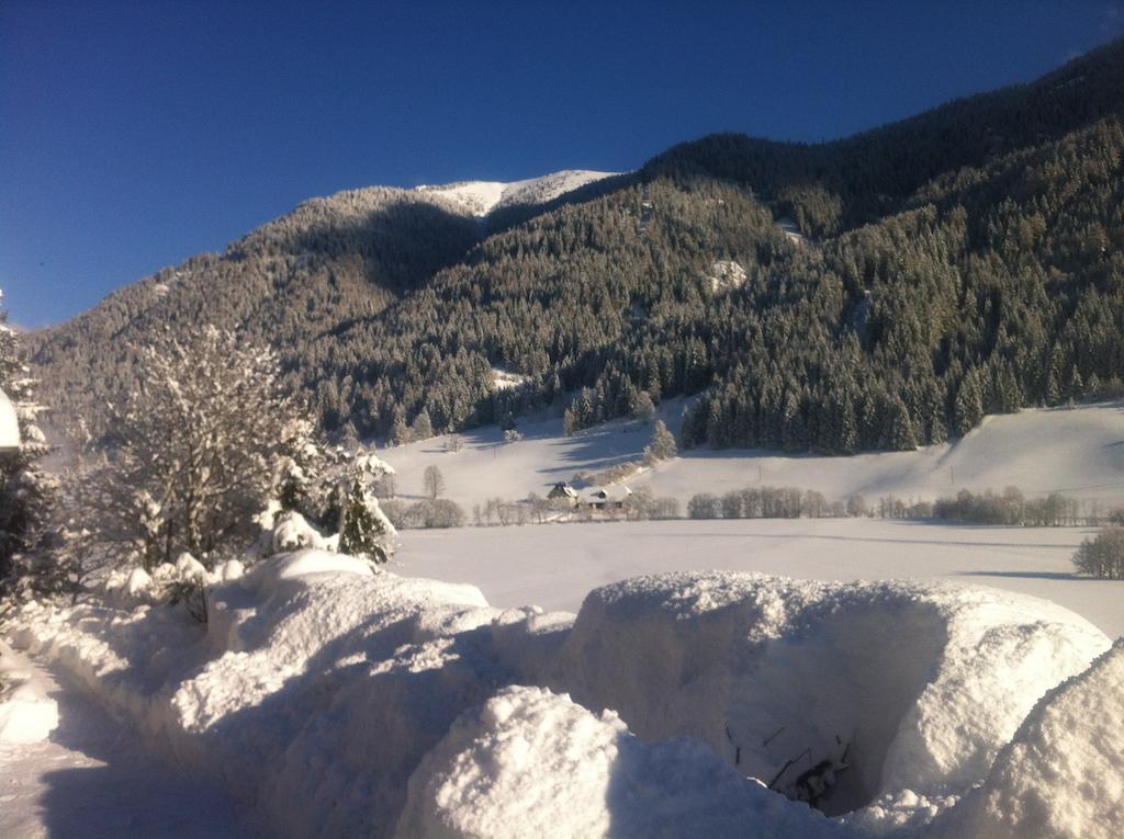 Chalet Steiermark Pusterwald Δωμάτιο φωτογραφία